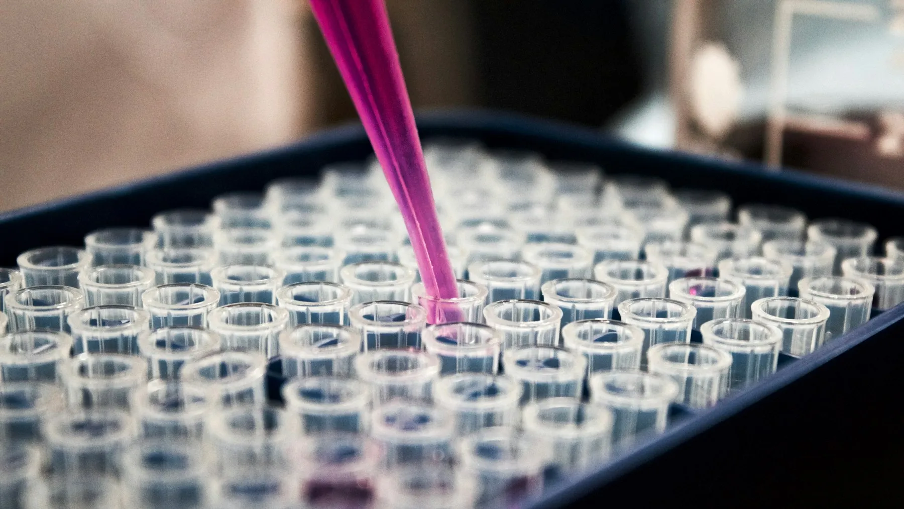 Celcuity's First-Ever Drug Cut Breast-Cancer Progression 76% — and Wall Street Sold It Anyway — Tech Arcade