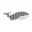 Fish Audio logo