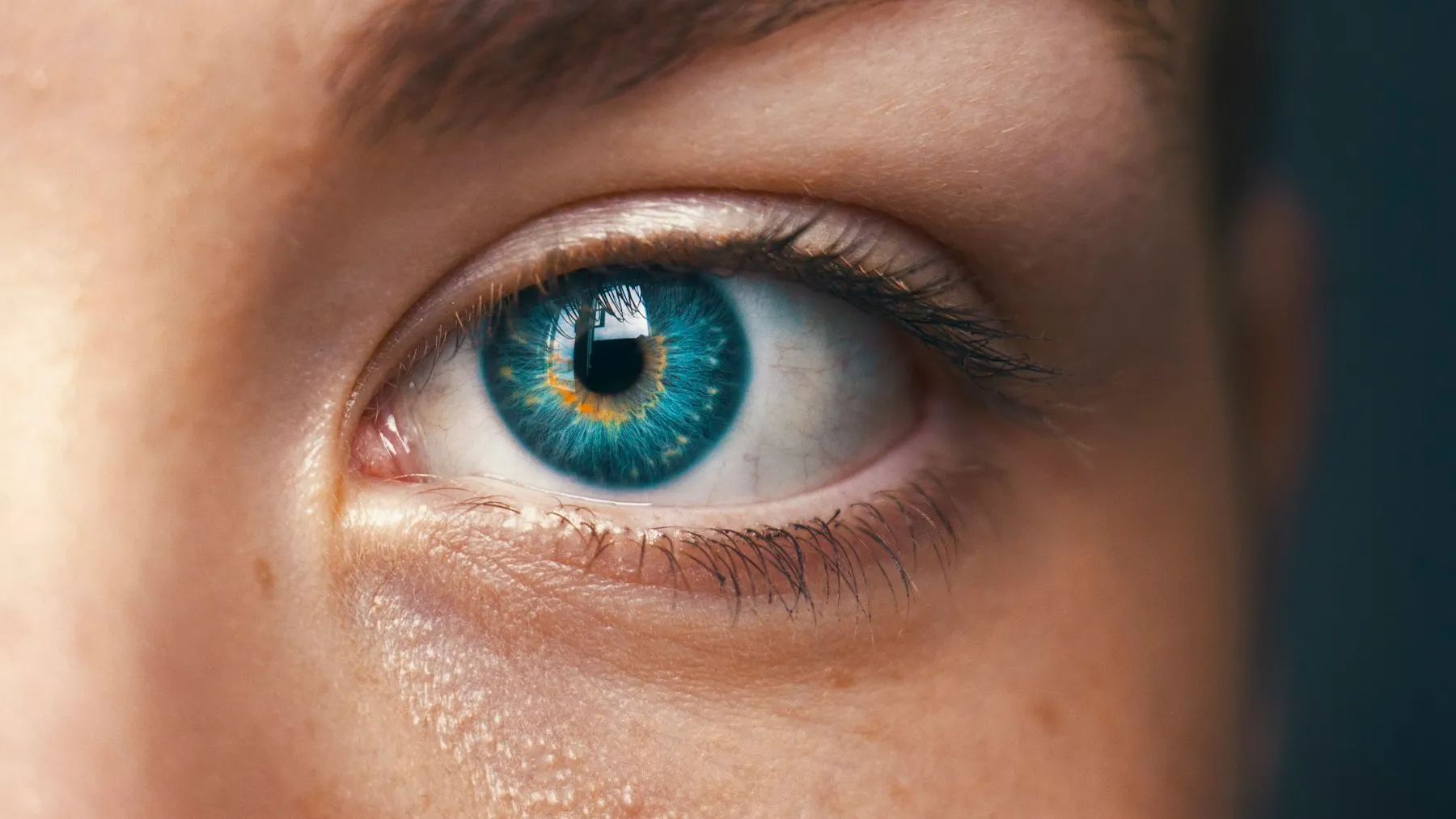 'It's out of this world': Life-changing eye implant helps blind patients read again — Tech Arcade