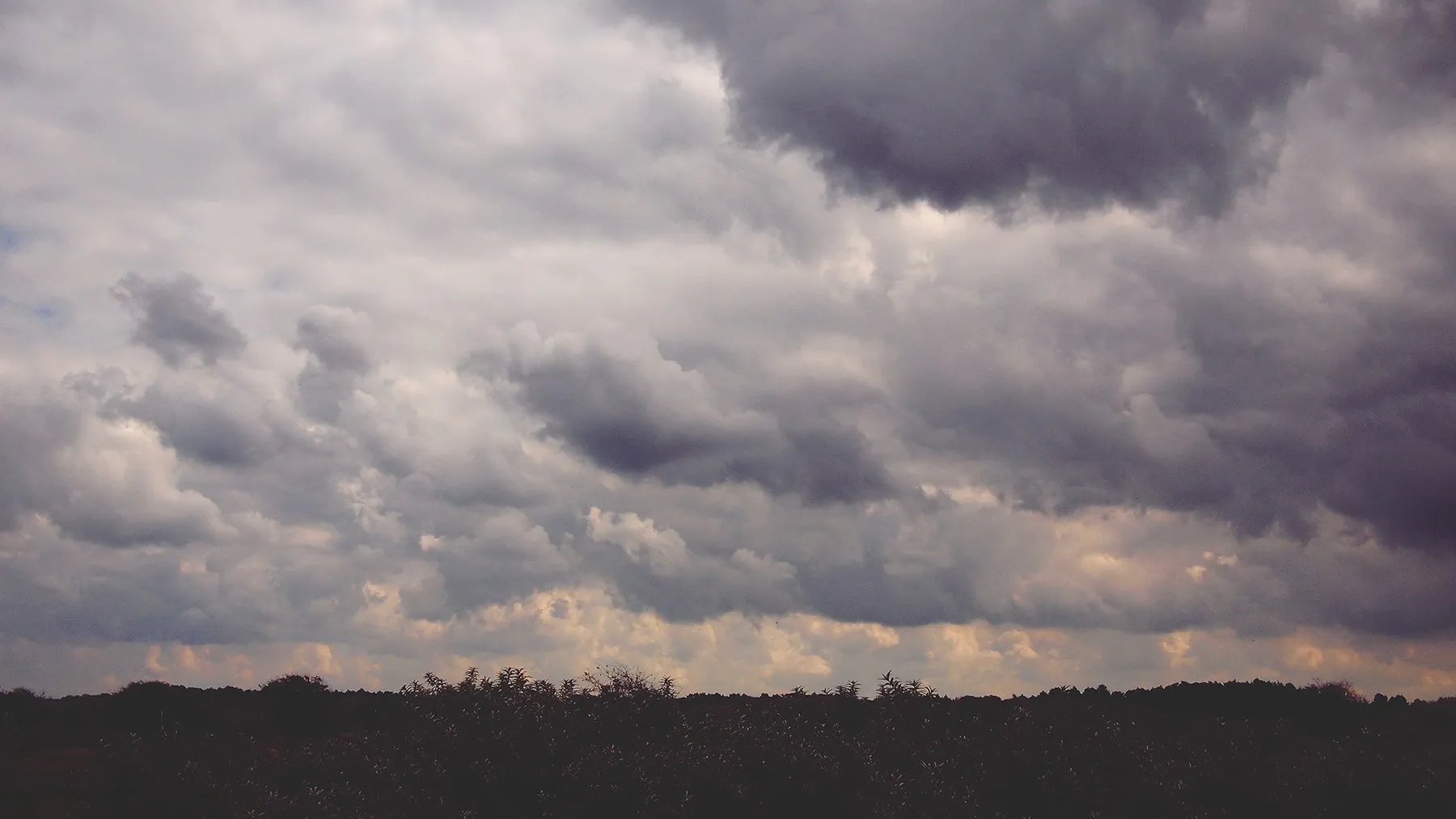 Rainmaker Raised $100 Million to Fly Drones Into Clouds and Squeeze Out Rain — Tech Arcade