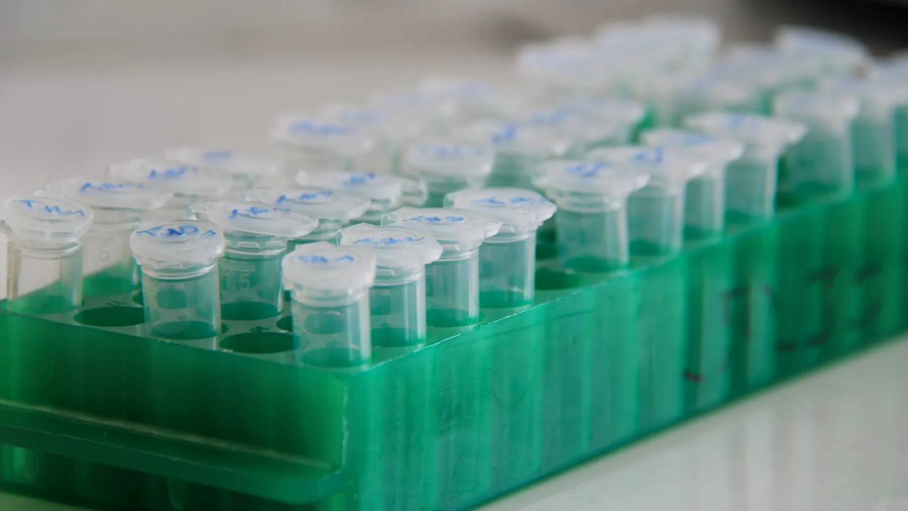 Roche's AI Gambit: 3,500 NVIDIA GPUs to Revolutionize Drug Discovery — Tech Arcade