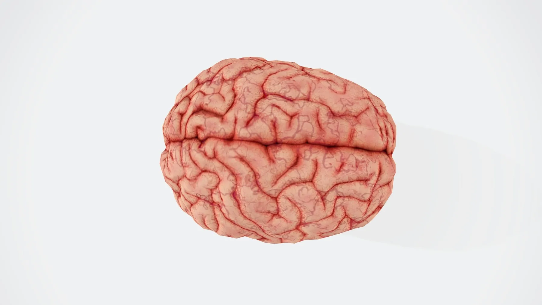 The Brain Chip That Doesn't Drill Just Raised $250 Million — Tech Arcade