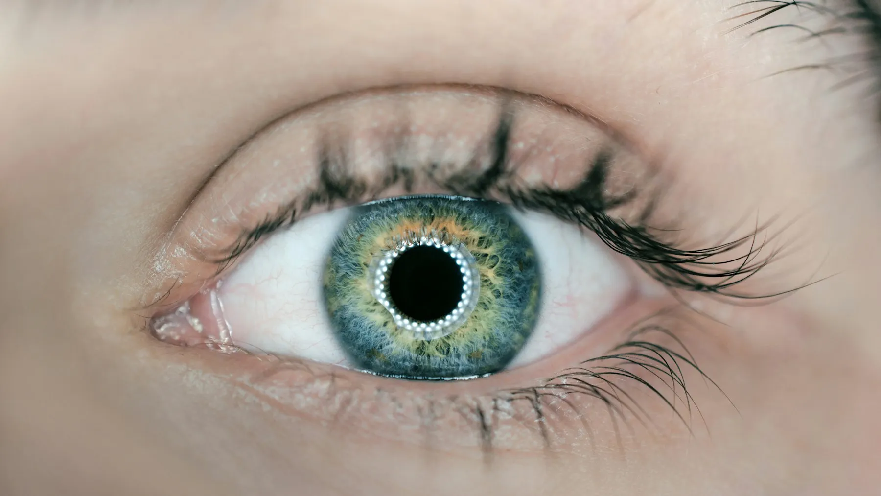 The FDA Just Cleared a Fifth Eye Drop for Aging Eyes — and the First Four Barely Sold — Tech Arcade