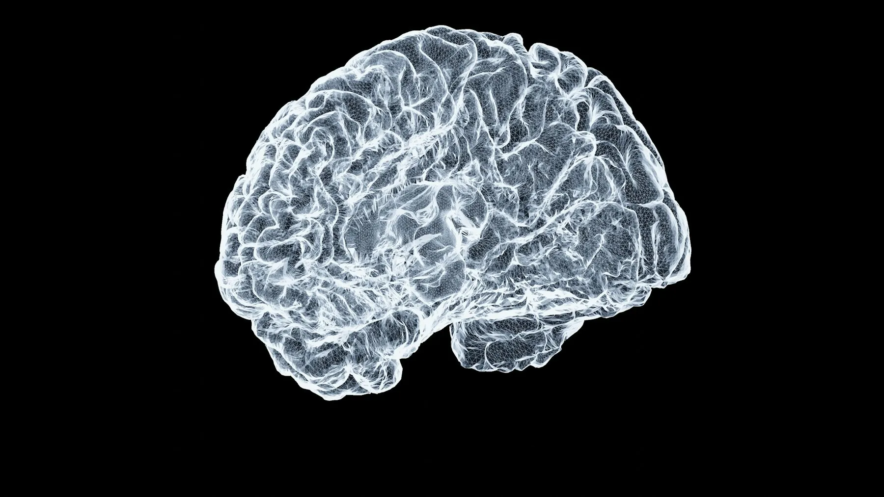 UK Startup CoMind Raises Over $100 M to Monitor Brains — Tech Arcade